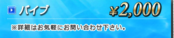 バイブ・・・2,000円
